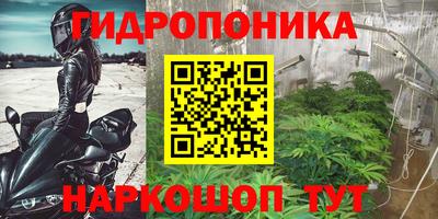 mix Кунгур