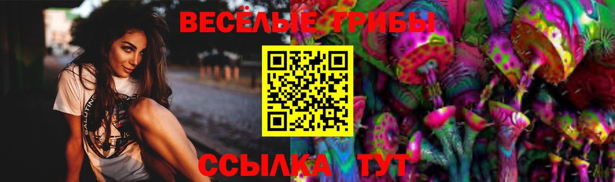 Галлюциногенные грибы Cubensis  Вход с VPN  Арзамас  Псилоцибиновые грибы Cubensis 